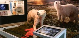 Diorama mit Eisbären
