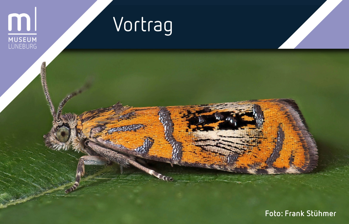 IMX Banner MLG-12-Vortrag Insekten ©Frank Stühmer