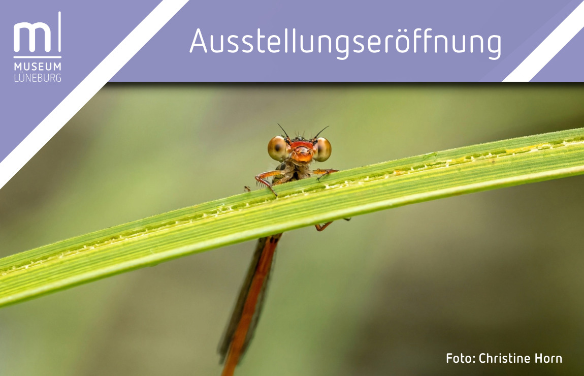 IMX Banner MLG-51-Eröffnung Insekten