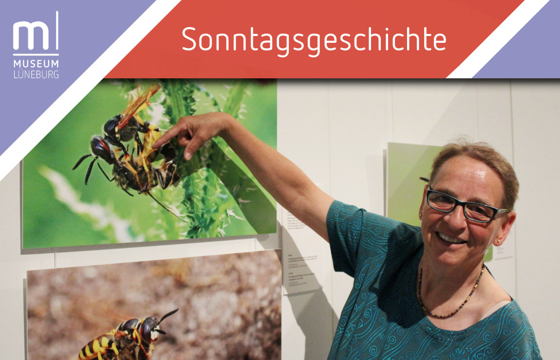 IMX Banner MLG-7-Sonntagsgeschichte Christine Horn(1)