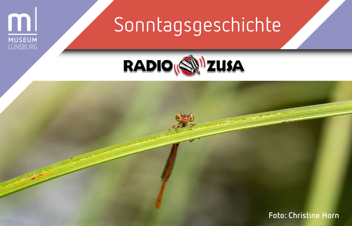 IMX Banner MLG-8-Sonntagsgeschichte Radio ZuSa(1)
