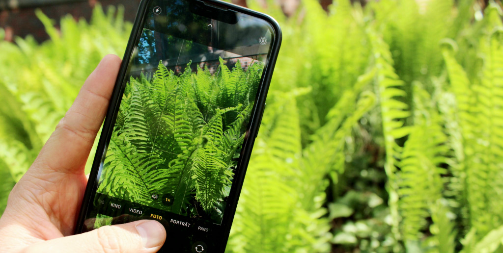 Vorlage Website MLG Vorschau-Kachel-11-Insektengeschichten - App