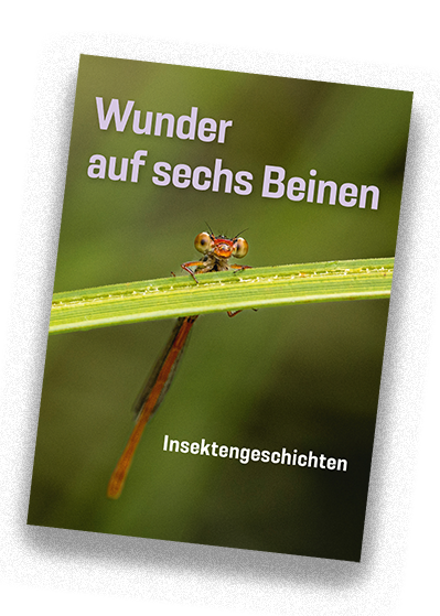 Vorschaubild des Covers des Begleithefts zur Sonderausstellung "Wunder auf sechs Beinen"