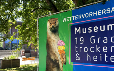 Abkühlen mit Kultur − Museum Lüneburg bietet Hitzeschutz für Senior*innen
