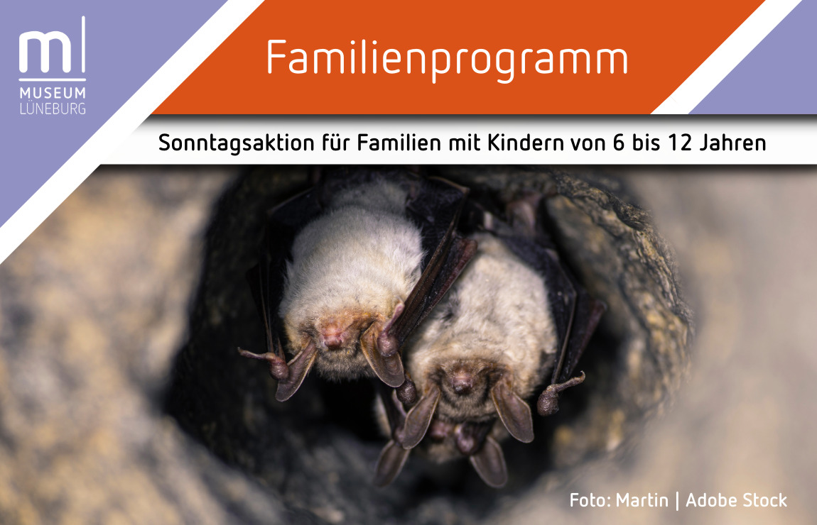 Fledermäuse in einer Höhle