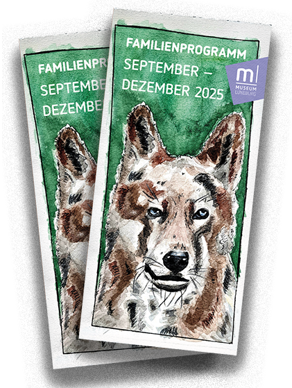Flyer-Vorschau Familienprogramm Museum Lüneburg ab Mai 2025
