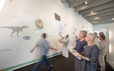 Internationaler Tag der älteren Menschen im Museum Lüneburg