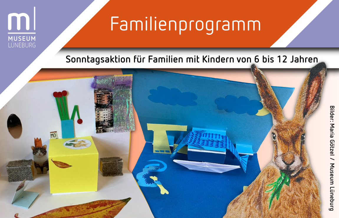 Fledermäuse in einer Höhle