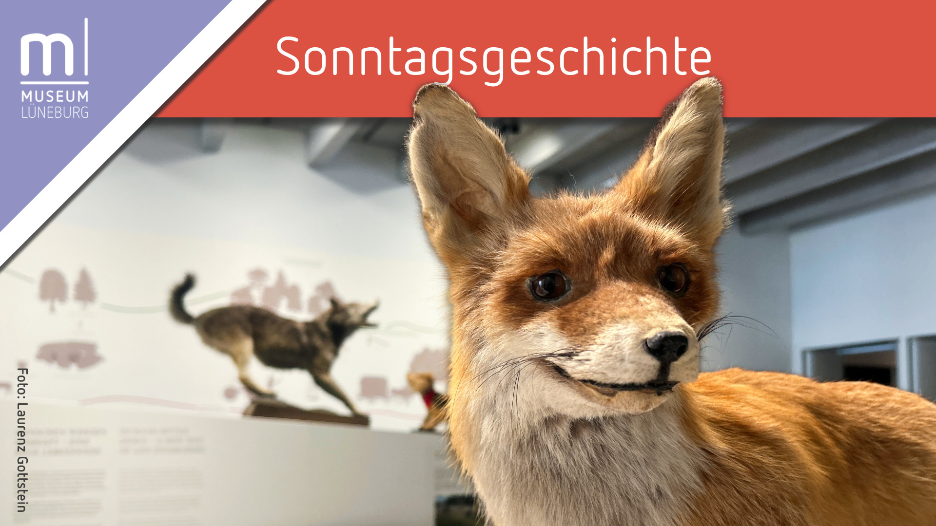 Sonntagsgeschichte Fell Fabel und Fossil Das Museumsteam sucht Verstärkung: Mitarbeiter*in Service & Shop (m/w/d) und Werkstudent*in Grafikdesign (m/w/d)