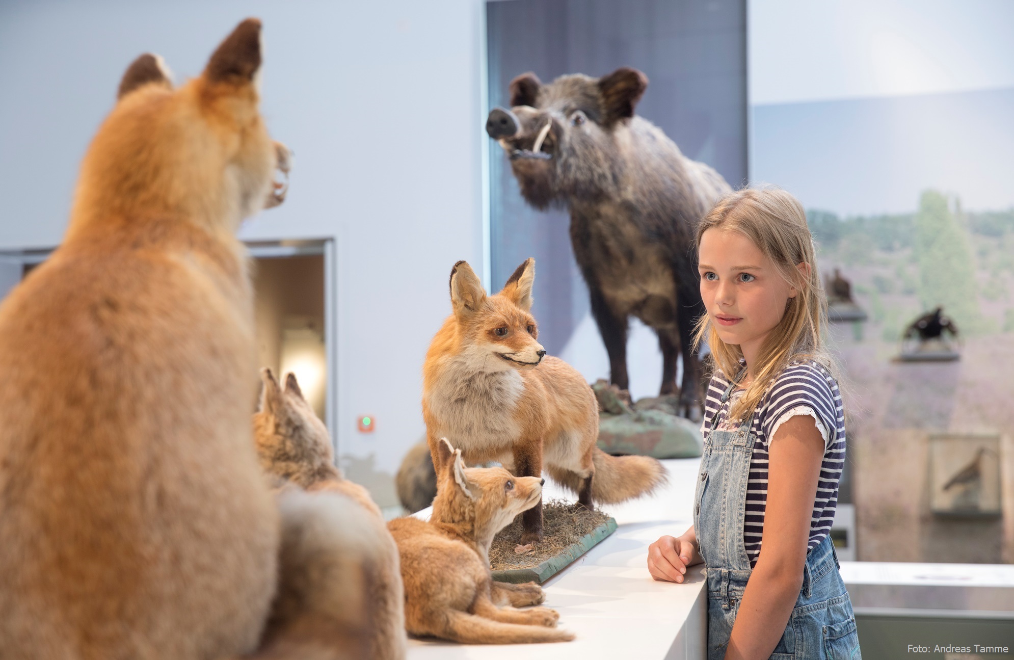 Museum Lüneburg Das Museumsteam sucht Verstärkung: Mitarbeiter*in Service & Shop (m/w/d) und Werkstudent*in Grafikdesign (m/w/d)