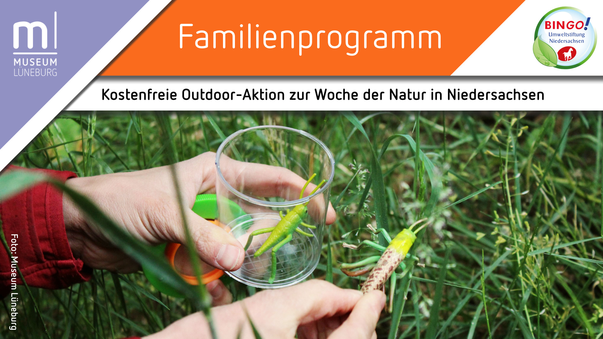 MLG Juni Woche der Natur Niedersachsen